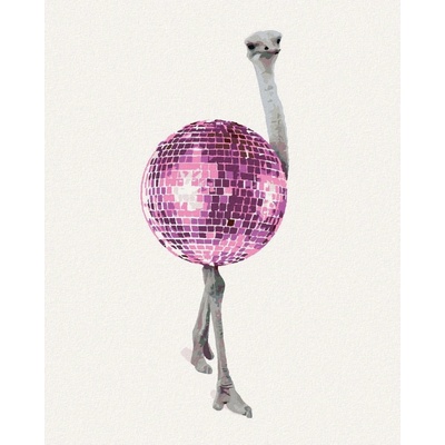 zuty Malování Podle Čísel Pštros Jako Disco Koule 40 x 50 Cm Plátno