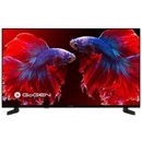 GoGEN TVF 40P420T