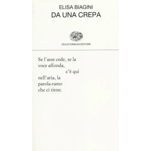 Da una crepa | Elisa Biagini (ISBN: 9788806215446)