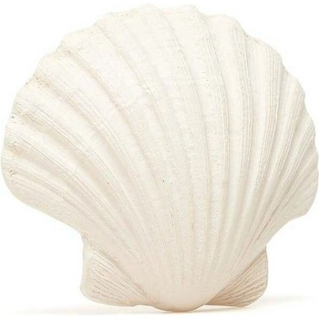 Lanco mušlička
