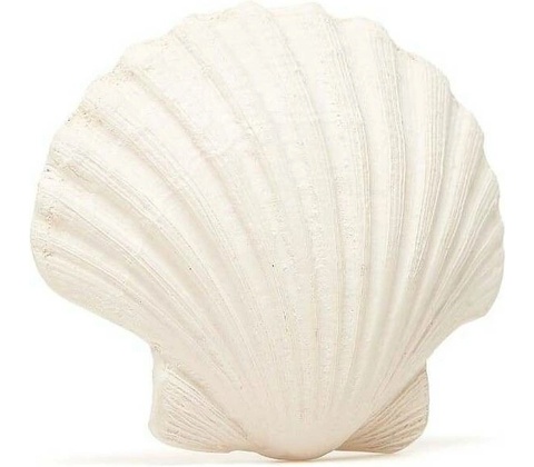 Lanco mušlička