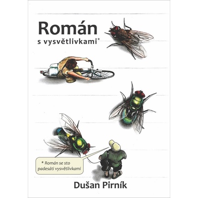Román s vysvětlivkami - Pirník Dušan