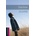 Starman + mp3 Pack -