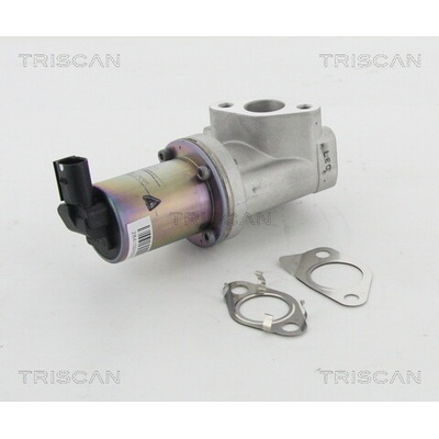 AGR - Ventil TRISCAN 8813 43021