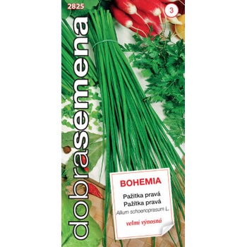 Dobrá semena Pažitka - Bohemia 2g