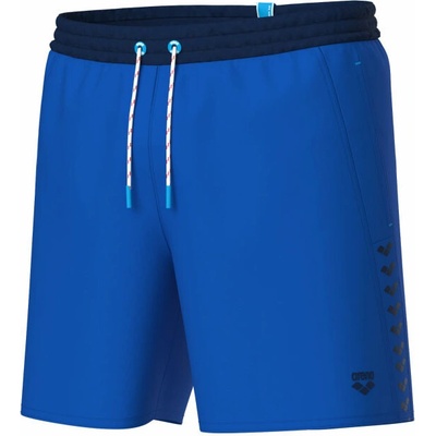 arena Men's Team Stripe Beach Boxer