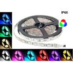 VITO Led ЛЕНТА 14.4w rgb ip65 5m 12v vito (6970233835172)