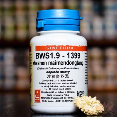 Sinecura BXL 1.9 huaihuasan 60 tablet