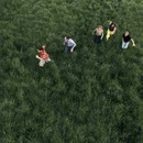 Parcels: Loved LP