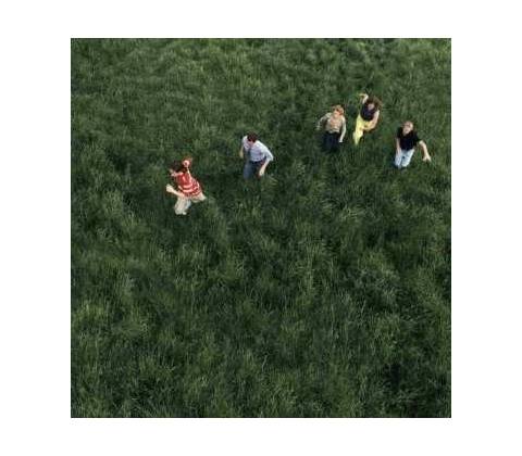 Parcels: Loved LP