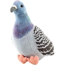 holub