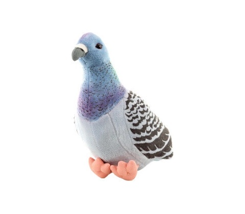 holub
