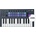 Novation FLkey Mini Set