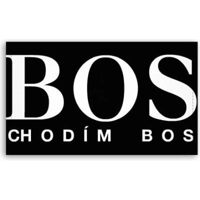 Fotoobraz 120x70 cm velký Bos