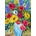 Enjoy - Puzzle Forever Blooms - 1 000 piese