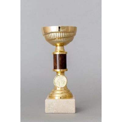 Zlatohnědý sportovní pohár 19 23 cm 19 cm