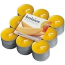 Bolsius Mango 18 ks