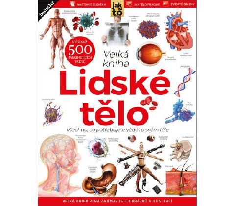 Lidské tělo