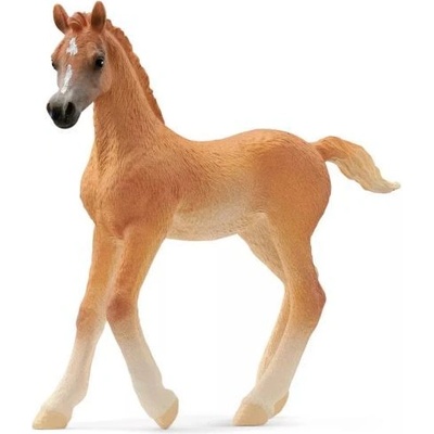 Schleich Шлайх Конен Клуб: фигура арабско жребче 13984 (slh13984)
