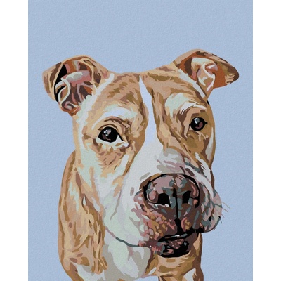 zuty Malování podle čísel Hnědý staford 80 x 100 cm bez rámu a bez vypnutí plátna 8596530011620