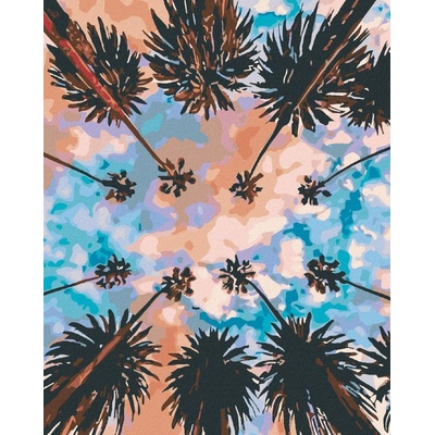Zuty Malování podle číselNebe nad palmami 40 x 50 cm vypnuté plátno na rám 8596530032052