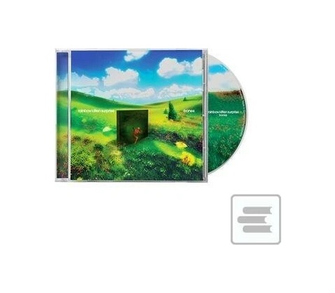 Rainbow Kitten Surprise - Bones CD