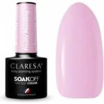 Claresa Soak Off UV/LED Hybrid Polish Frosty Morning 11 5g