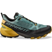 Dynafit Transalper 2 Gtx Man boty