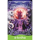 Príbeh čarodejníctva - Chris Colfer