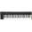 KORG Keystage 61 USB