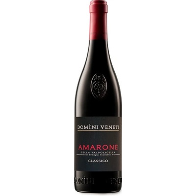 Domini Veneti Amarone Classico DOCG 15,5% 0,75 l (holá láhev)