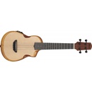 Ibanez AUC10E-OPN