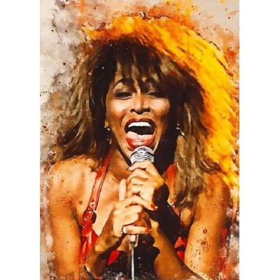 NORIMPEX Malování podle čísel Tina Turner zpívá 40 x 50 cm