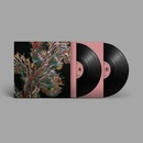 WEVAL - REMEMBER LP
