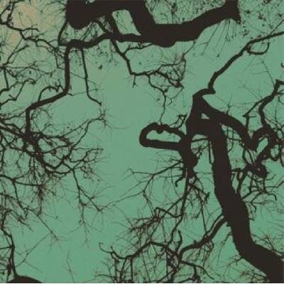 FOLLAKZOID - Follakzoid LP