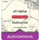 Dešťová hůl