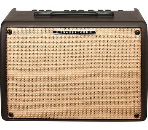 Ibanez T 30