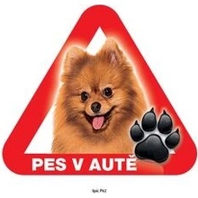 Grel nálepka na plech pozor pes v autě špic