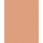 folia Цветна хартия a3, 130 г, 50 листа, folia, сьомга 6345 (6345)