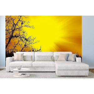 DIMEX ART Самозалепваща се флизелинова фототапета черни дървета 375 x 250 см