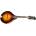 Eastman MD505