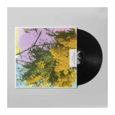 Four Tet - Into Dust (Still Falling) LP