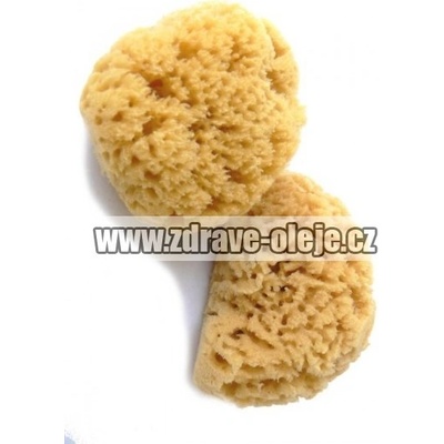 Jemná kosmetická houba 5-6 cm SCS 158