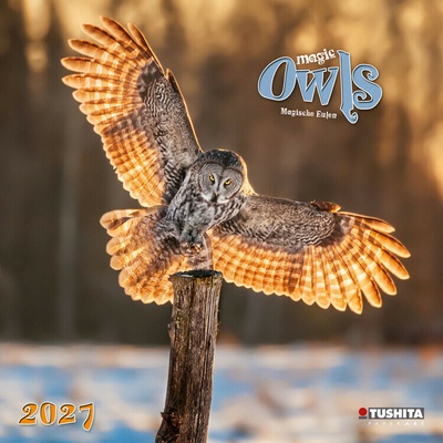 Kouzelné sovy 16měsíční, 30 x 30 cm 2027
