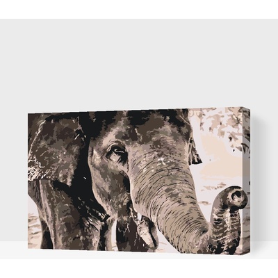 Vymalujsisam.cz Malování podle čísel Slon v šedých barvách Velikost 40 x 60 cm Rámování Na kartonové desce