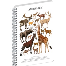 NOTIQUE Špirálový blok Animalium Párnokopytníky čistý A4