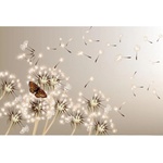 DIMEX ART Флизелинов фототапет глухарче и пеперуда 375 x 250 см