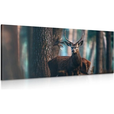 Obraz jelen v lese - 120x60
