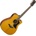 Yamaha A1M II VN
