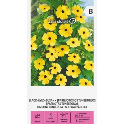 Seklos Тунбергия Чернооката Сюзън Black eyed Susan
